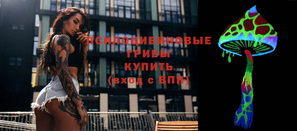 тгк Аркадак