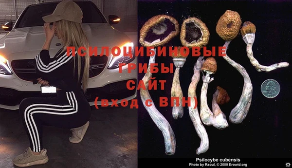 тгк Аркадак